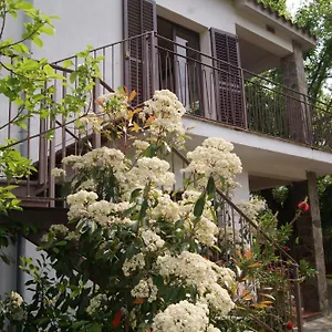  Appartement Con Encanto L'estany 2